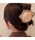 HA281 - Dried Rose Flower Hair Clip